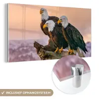 MuchoWow Glasschilderij - Foto op glas - Vogels - Dieren - Arend - Roofvogel - Takken - Acrylglas - 80x40 cm - Glasschilderij vogels - Schilderij glas - Wanddecoratie glas - Glasschilderij dieren