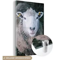 MuchoWow Glasschilderij 40x60 cm - Schilderij acrylglas - Schaap - Dieren - Vee - Foto op glas - Schilderijen