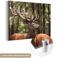 MuchoWow Glasschilderij 30x20 cm - Schilderij acrylglas - Hert - Natuur - Gewei - Bos - Dieren - Foto op glas - Schilderijen