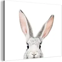 MuchoWow Wanddecoratie Metaal - Aluminium Schilderij Industrieel - Konijn - Dieren - Natuur - Wit - 160x120 cm - Dibond - Foto op aluminium - Industriële muurdecoratie - Voor de woonkamer/slaapkamer