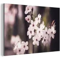 MuchoWow Wanddecoratie Metaal - Aluminium Schilderij Industrieel - Bloemen - Wit - Natuur - Plant - Bloesem - 120x80 cm - Dibond - Foto op aluminium - Industriële muurdecoratie - Voor de woonkamer/slaapkamer