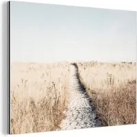 MuchoWow Wanddecoratie Metaal - Aluminium Schilderij Industrieel - Pad - Zand - Planten - Natuur - 40x30 cm - Dibond - Foto op aluminium - Industriële muurdecoratie - Voor de woonkamer/slaapkamer