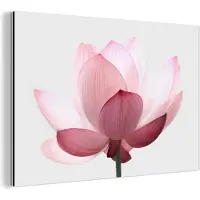 MuchoWow Wanddecoratie Metaal - Aluminium Schilderij Industrieel - Bloemen - Roze - Natuur - Botanisch - 90x60 cm - Dibond - Foto op aluminium - Industriële muurdecoratie - Voor de woonkamer/slaapkamer