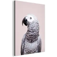 MuchoWow Wanddecoratie Metaal - Aluminium Schilderij Industrieel - Papegaai - Grijs - Dieren - Natuur - 60x80 cm - Dibond - Foto op aluminium - Industriële muurdecoratie - Voor de woonkamer/slaapkamer