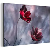MuchoWow Wanddecoratie Metaal - Aluminium Schilderij Industrieel - Bloemen - Rood - Planten - Natuur - 180x120 cm - Dibond - Foto op aluminium - Industriële muurdecoratie - Voor de woonkamer/slaapkamer