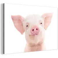 MuchoWow Wanddecoratie Metaal - Aluminium Schilderij Industrieel - Varken - Roze - Dieren - Natuur - 120x80 cm - Dibond - Foto op aluminium - Industriële muurdecoratie - Voor de woonkamer/slaapkamer