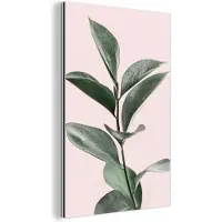 MuchoWow Wanddecoratie Metaal - Aluminium Schilderij Industrieel - Planten - Groen - Natuur - Roze - 40x60 cm - Dibond - Foto op aluminium - Industriële muurdecoratie - Voor de woonkamer/slaapkamer