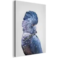 MuchoWow Wanddecoratie Metaal - Aluminium Schilderij Industrieel - Kaketoe - Blauw - Dieren - Natuur - 60x80 cm - Dibond - Foto op aluminium - Industriële muurdecoratie - Voor de woonkamer/slaapkamer