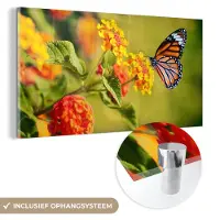 MuchoWow - Glasschilderij - Foto op glas - Vlinders - Bloemen - Natuur - Oranje - Acrylverf - 80x40 cm - Glasschilderij natuur - Glasschilderij vlinder - Decoratie woonkamer - Schilderij glas