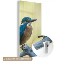 MuchoWow Glasschilderij 40x80 cm - Schilderij acrylglas - IJsvogel - Tak - Vogel - Foto op glas - Schilderijen