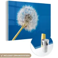 MuchoWow Glasschilderij 150x100 cm - Schilderij acrylglas - Paardenbloem - Bloem - Terras - Foto op glas - Schilderijen