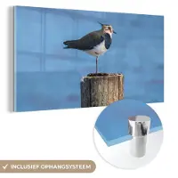MuchoWow Glasschilderij - Vogel - Dieren - Paal - Lucht - Acrylglas - Foto op glas - 40x20 cm - Wanddecoratie glas - Glasschilderij vogels - Glasschilderij dieren - Kamer decoratie - Woonkamer