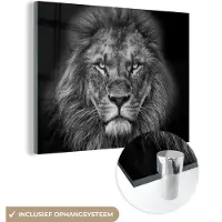 MuchoWow Glasschilderij - Foto op glas - Acrylglas - Wilde dieren - Leeuw - Zwart - Wit - 120x90 cm - Glasschilderij leeuw - Schilderij glas - Kamer decoratie - Slaapkamer