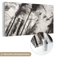 MuchoWow Glasschilderij 40x20 cm - Schilderij acrylglas - Pampasgras - Zwart - Wit - Plant - Foto op glas - Schilderijen