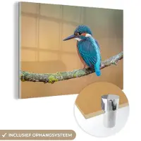 MuchoWow Glasschilderij 120x80 cm - Schilderij acrylglas - Vogel - IJsvogel - Dieren - Tak - Foto op glas - Schilderijen