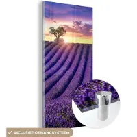 MuchoWow - Glasschilderij - Bloemen - Zonsondergang - Lavendel - Landschap - Bomen - Foto op glas - Acrylglas - 80x160 cm - Wanddecoratie glas - Glasschilderij bloemen - Schilderij paars