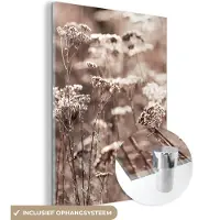 MuchoWow Glasschilderij 30x40 cm - Schilderij acrylglas - Planten - Bloemen - Winter - Sneeuw - Sepia - Foto op glas - Schilderijen
