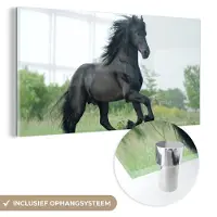 MuchoWow Glasschilderij 40x20 cm - Schilderij acrylglas - Paard - Zwart - Natuur - Foto op glas - Schilderijen