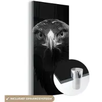 MuchoWow Glasschilderij - Foto op glas - Acrylglas - Dieren - Buizerd - Vogel - Zwart - Wit - Muurdecoratie - Woondecoratie - 40x80 cm - Decoratie woonkamer