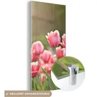 MuchoWow Glasschilderij 20x40 cm - Schilderij acrylglas - Tulpen - Zon - Lente - Foto op glas - Schilderijen