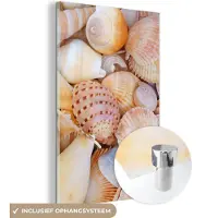 MuchoWow - Glasschilderij - Acrylplaat - Schelpen - Oranje - Geel - Strand - Wanddecoratie - Schilderij glas - Glasschilderij zee - 60x90 cm - Foto op glas - Acrylglas