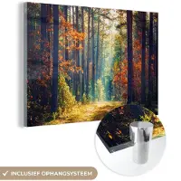 MuchoWow - Glasschilderij - Wanddecoratie - Bos - Bladeren - Natuur - Herfst - Foto op glas - Acrylglas - Schilderij glas - 90x60 cm - Glasschilderij natuur - Muurdecoratie - Schilderijen woonkamer