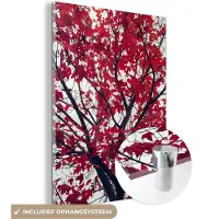 MuchoWow Glasschilderij 30x40 cm - Schilderij acrylglas - Esdoorn - Bladeren - Herfst - Natuur - Foto op glas - Schilderijen
