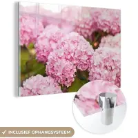 MuchoWow - Glasschilderij - Hortensia - Bloemen - Bladeren - Plant - Roze - Foto op glas - Acrylglas - Wanddecoratie - 150x100 cm - Glasschilderij bloemen - Schilderij glas - Muurdecoratie