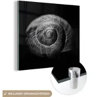 MuchoWow - Glasschilderij - Foto op glas - Acrylglas - Slak - Zwart - Wit - 90x90 cm - Glasschilderij zwart wit - Schilderij glas - Wanddecoratie glas - Woonkamer