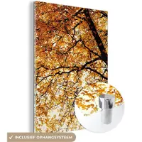 MuchoWow Glasschilderij 30x40 cm - Schilderij acrylglas - Boom - Herfstbladeren - Seizoenen - Landelijk - Foto op glas - Schilderijen