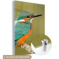 MuchoWow Glasschilderij 60x80 cm - Schilderij acrylglas - IJsvogel - Dieren - Vogel - Foto op glas - Schilderijen
