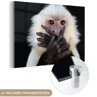 MuchoWow Glasschilderij 90x60 cm - Schilderij acrylglas - Aap - Wilde dieren - Portret - Foto op glas - Schilderijen