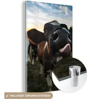 MuchoWow Glasschilderij 40x60 cm - Schilderij acrylglas - Koe - Dieren - Natuur - Uitstekende tong - Foto op glas - Schilderijen