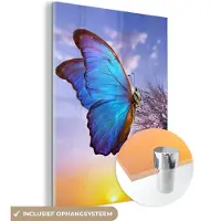 MuchoWow Glasschilderij - Foto op glas - Vlinders - Bloemen - Zon - Blauw - Paardenbloem - Acrylverf - 30x40 cm - Schilderij glas - Glasschilderij vlinder - Glasschilderij dieren - Wanddecoratie
