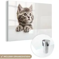 MuchoWow - Glasschilderij - Foto op glas - Kat - Grijs - Poes - Kitten - Dieren - 180x120 cm - Acrylglas - Glasschilderij kat - Schilderij glas - Kamer decoratie - Woonkamer