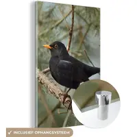 MuchoWow Glasschilderij - Vogel - Merel - Takken - Natuur - Acrylglas - Foto op glas - 120x180 cm - Muurdecoratie glas - Decoratie woonkamer - Glasschilderij vogels - Glasschilderij dieren
