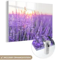 MuchoWow Glasschilderij - Lavendel - Zonsondergang - Bloemen - Paars - Acrylglas - Foto op glas - 180x120 cm - Muurdecoratie glas - Glasschilderij natuur - Schilderij glas - Schilderij paars