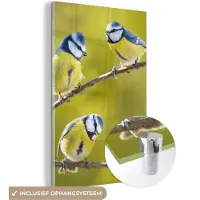 MuchoWow Glasschilderij - Foto op glas - Vogel - Pimpelmees - Takken - Zon - Acrylglas - Schilderij woonkamer - 120x180 cm - Glasschilderij dieren - Glasschilderij vogels - Wanddecoratie glas - Muurdecoratie