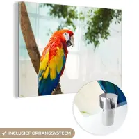 MuchoWow Glasschilderij 180x120 cm - Schilderij acrylglas - Papegaai - Vogel - Regenboog - Tropical - Foto op glas - Schilderijen