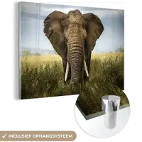 MuchoWow Glasschilderij olifant - Gras - Dieren - Landschap - Wanddecoratie - Kamer decoratie - 180x120 cm - Muurdecoratie glas - Schilderij glas - Wanddecoratie woonkamer - Glasplaat