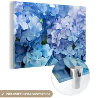 MuchoWow - Glasschilderij - Foto op glas - Acrylglas - Hortensia - Bloemen - Natuur - Waterdruppel - Blauw - Muurdecoratie - 180x120 cm - Schilderij bloemen - Schilderijen woonkamer - Wanddecoratie