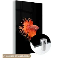 MuchoWow Glasschilderij 120x180 cm - Schilderij acrylglas - Vis - Wilde dieren - Zwart - Foto op glas - Schilderijen