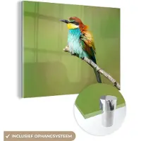 MuchoWow Glasschilderij 160x120 cm - Schilderij acrylglas - Vogel - Dieren - Bijeneter - Foto op glas - Schilderijen