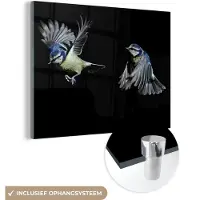 MuchoWow Glasschilderij 160x120 cm - Schilderij acrylglas - Vogel - Veren - Portret - Foto op glas - Schilderijen