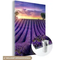 MuchoWow - Glasschilderij - Bloemen - Zonsondergang - Lavendel - Landschap - Bomen - Foto op glas - Acrylglas - 120x160 cm - Wanddecoratie glas - Glasschilderij bloemen - Schilderij paars