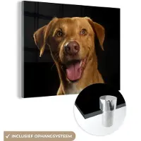 MuchoWow Glasschilderij 160x120 cm - Schilderij acrylglas - Hond - Huisdieren - Portret - Foto op glas - Schilderijen