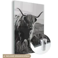 MuchoWow Glasschilderij - Foto op glas - Acrylglas - Dieren - Schotse hooglander - Koe - Gras - Natuur - 120x160 cm - Schilderij Schotse hooglander - Wanddecoratie - Decoratie woonkamer