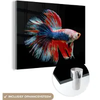 MuchoWow Glasschilderij 160x120 cm - Schilderij acrylglas - Vis - Zeedier - Staart - Blauw - Foto op glas - Schilderijen