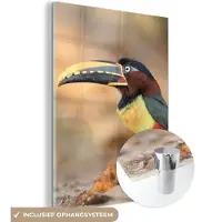 MuchoWow Glasschilderij - Vogel - Toekan - Veren - Landschap - Acrylglas - Foto op glas - 120x160 cm - Glasschilderij vogels - Wanddecoratie - Kamer decoratie - Glasschilderij natuur