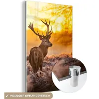 MuchoWow Glasschilderij - Foto op glas - Wanddecoratie dieren - Hert - Natuur - Zonsondergang - Bosdieren - Winter - Zon - Muurdecoratie - Acrylglas - 120x180 cm - Schilderij glas
